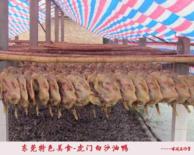 东莞美食：虎门白沙油鸭，你吃过吗？
