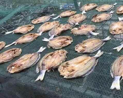 沙田生晒海鲜让你欲罢不能！秋风吹起晾晒海味一景，你看过吗？