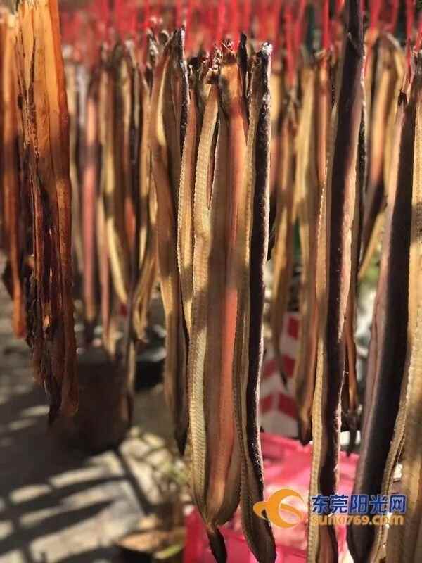 沙田生晒海鲜让你欲罢不能！秋风吹起晾晒海味一景，你看过吗？