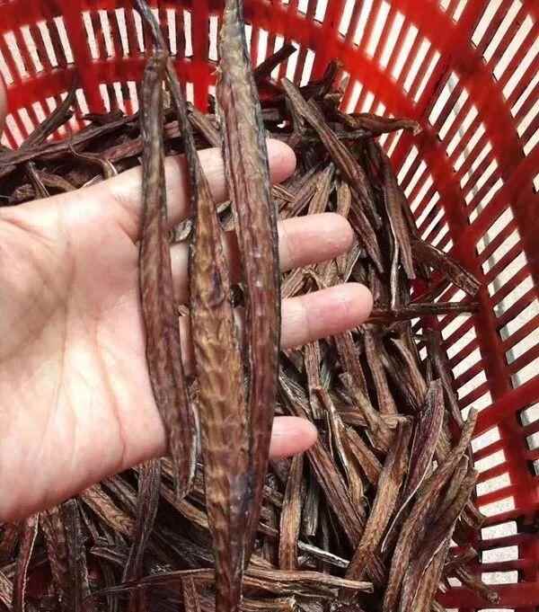 沙田生晒海鲜让你欲罢不能！秋风吹起晾晒海味一景，你看过吗？