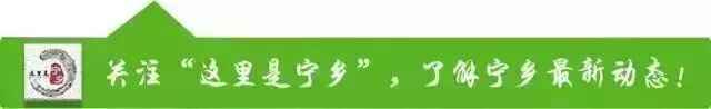 【壮丽70年·蹲点见闻⑥】带你攻略“舌尖上的沙田”