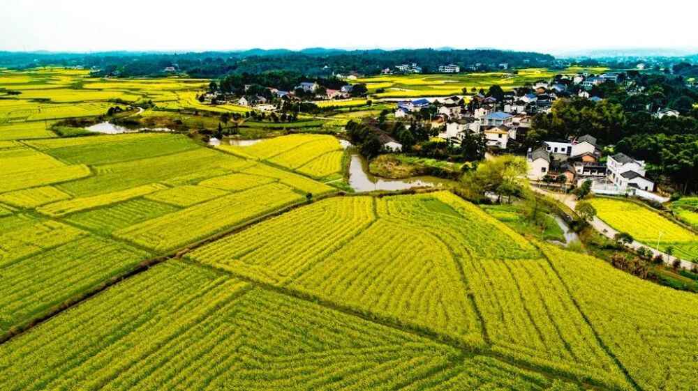 【壮丽70年·蹲点见闻⑥】带你攻略“舌尖上的沙田”