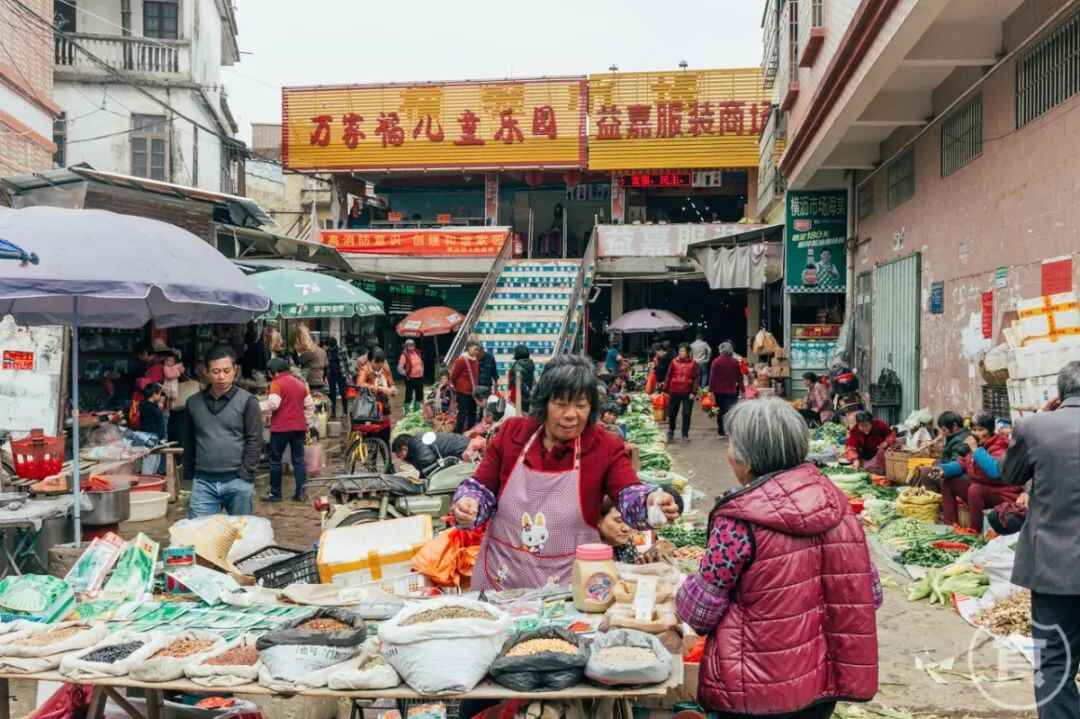 在横沥，只为了这碗粉