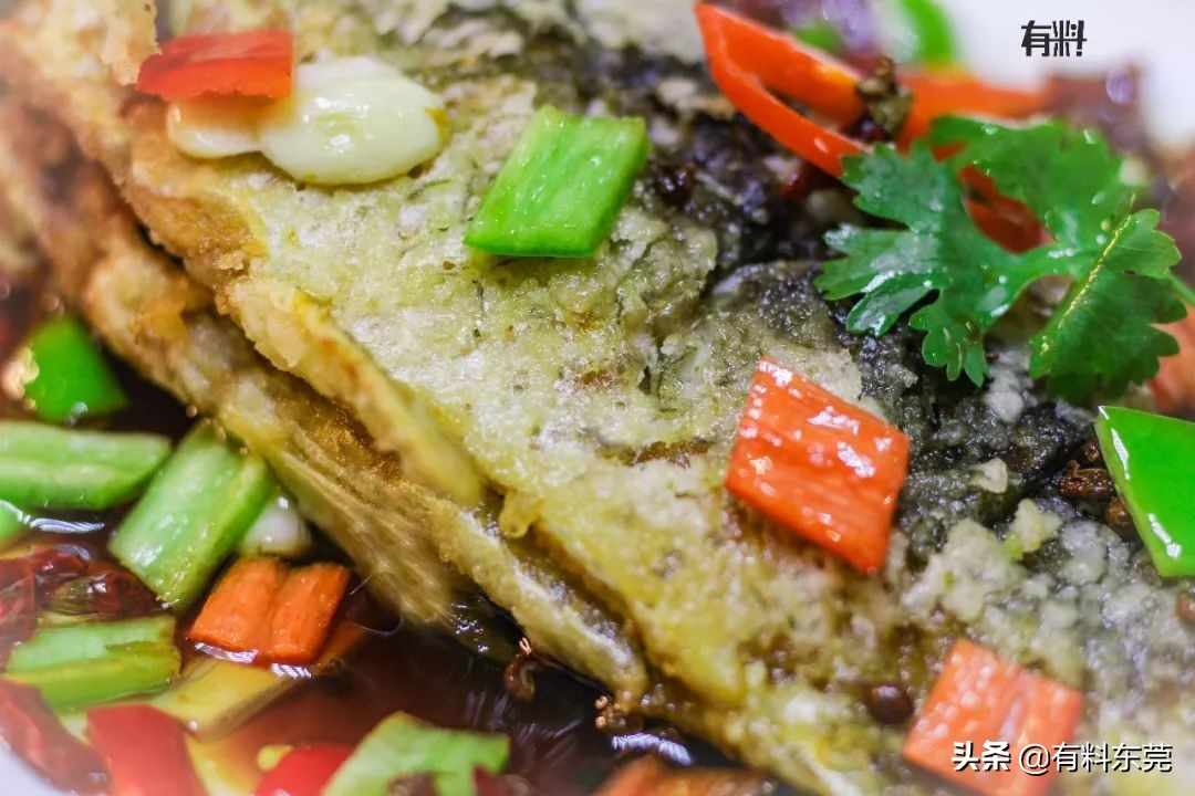 15年老字号！这碗鲜甜无骨的鲫鱼粥，驱车^^^