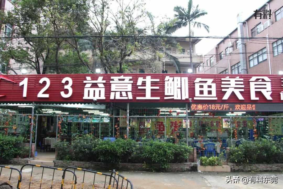 15年老字号！这碗鲜甜无骨的鲫鱼粥，驱车^^^