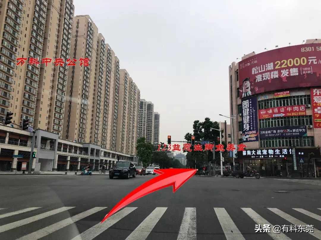 15年老字号！这碗鲜甜无骨的鲫鱼粥，驱车^^^