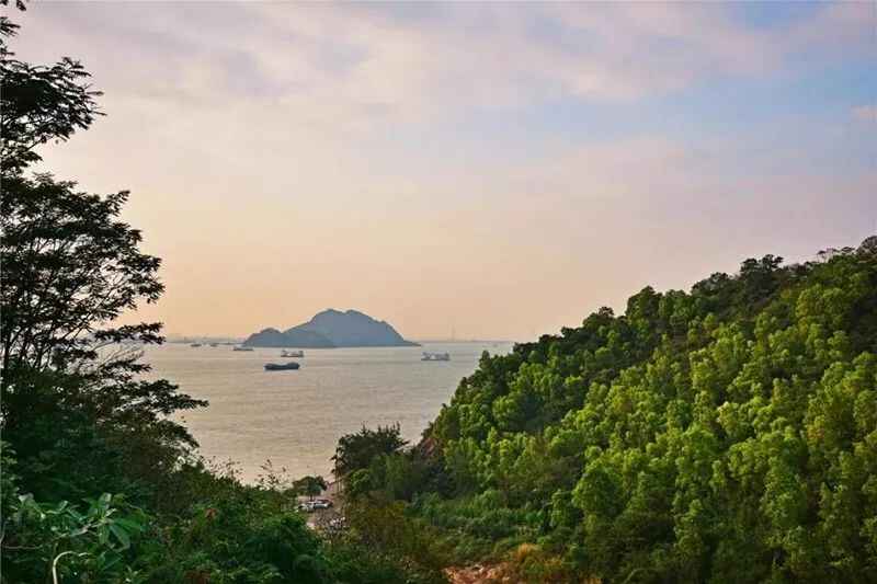 去虎门打卡！忆历史、思人文，还有地道海鲜等你来品！