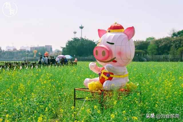 5折！桥头除了油菜花还有这碗面值得你打卡！！！