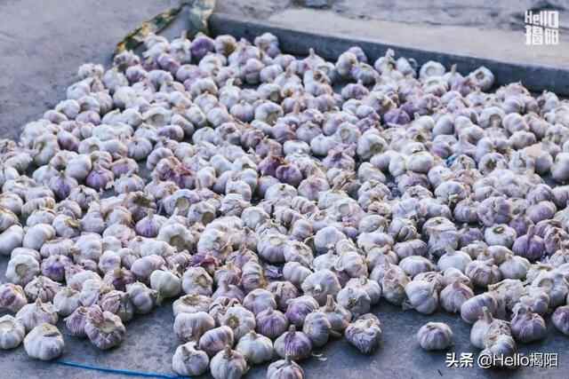 这家桥头粽球在揭阳卖了23年，一口吃出夏威夷果和甜酱油