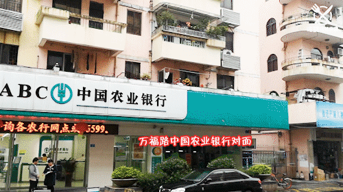 藏匿在万江公园旁的早餐店，每天人气爆棚排长龙