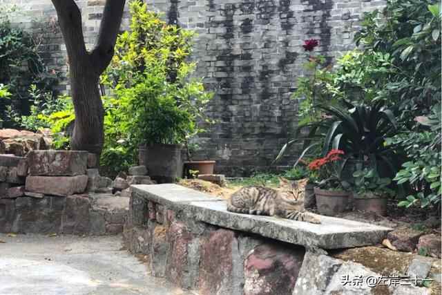 东莞有一个被岁月遗忘的角落，自然淳朴，还没有被商业气息侵蚀