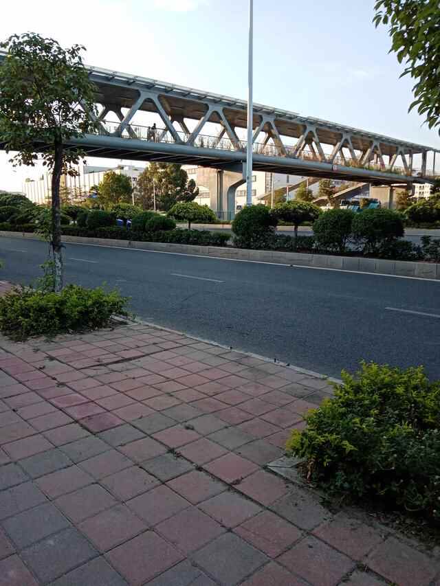 东莞市石龙镇小吃一日游