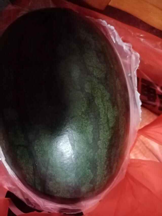 东莞市石龙镇小吃一日游