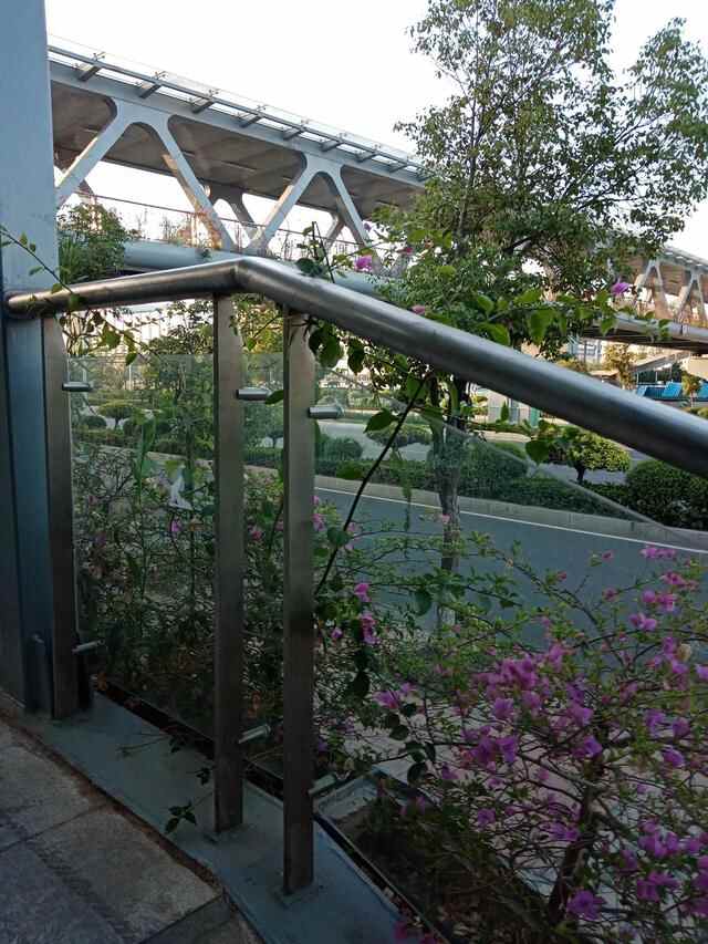 东莞市石龙镇小吃一日游