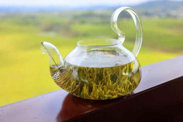 春满茶山！贵州茶乡之旅风景如画