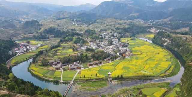 春满茶山！贵州茶乡之旅风景如画