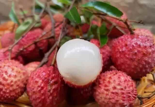隐没在广东的美食之城