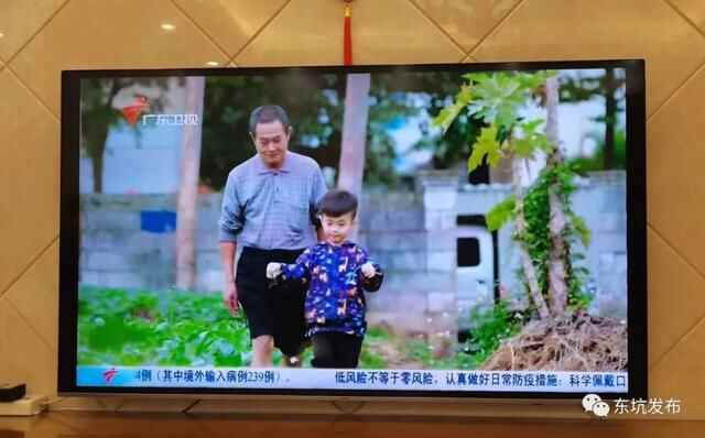 东坑街坊点赞《寻味东莞》，为东坑“人参”——阴菜而自豪