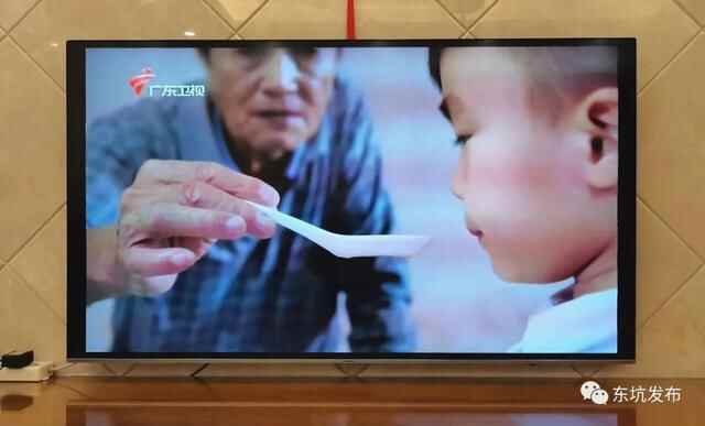 东坑街坊点赞《寻味东莞》，为东坑“人参”——阴菜而自豪