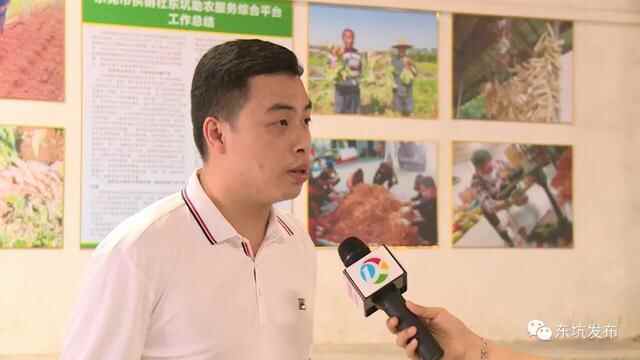 东坑街坊点赞《寻味东莞》，为东坑“人参”——阴菜而自豪