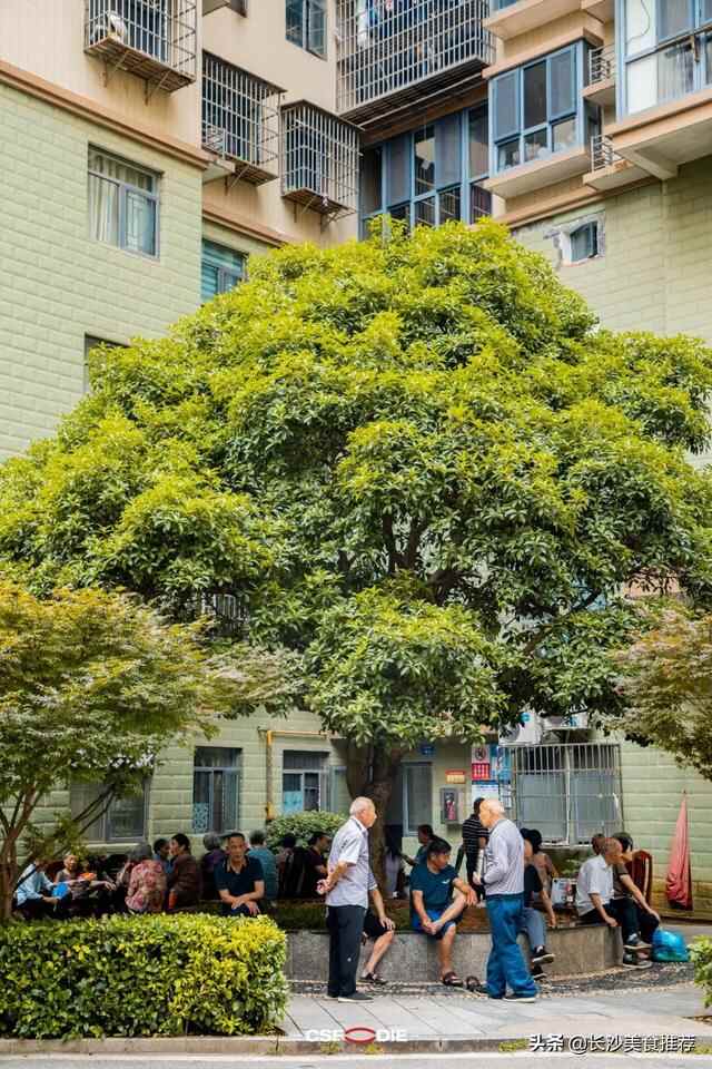 住在茶山馨苑，到底有多幸福？