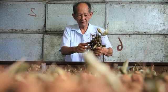 蝉鸣荔熟，又是一年“寻味大朗”好时节